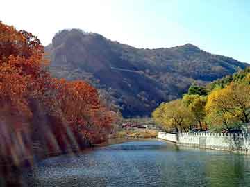 芳草地澳门正版免费资或2024雷锋心水网论坛大众网全面释义与警惕虚假宣传-全面释义、解释与落实 解析与释义